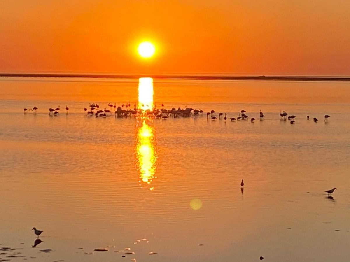 Lagoon View Self Catering Уолфиш-Бей Экстерьер фото