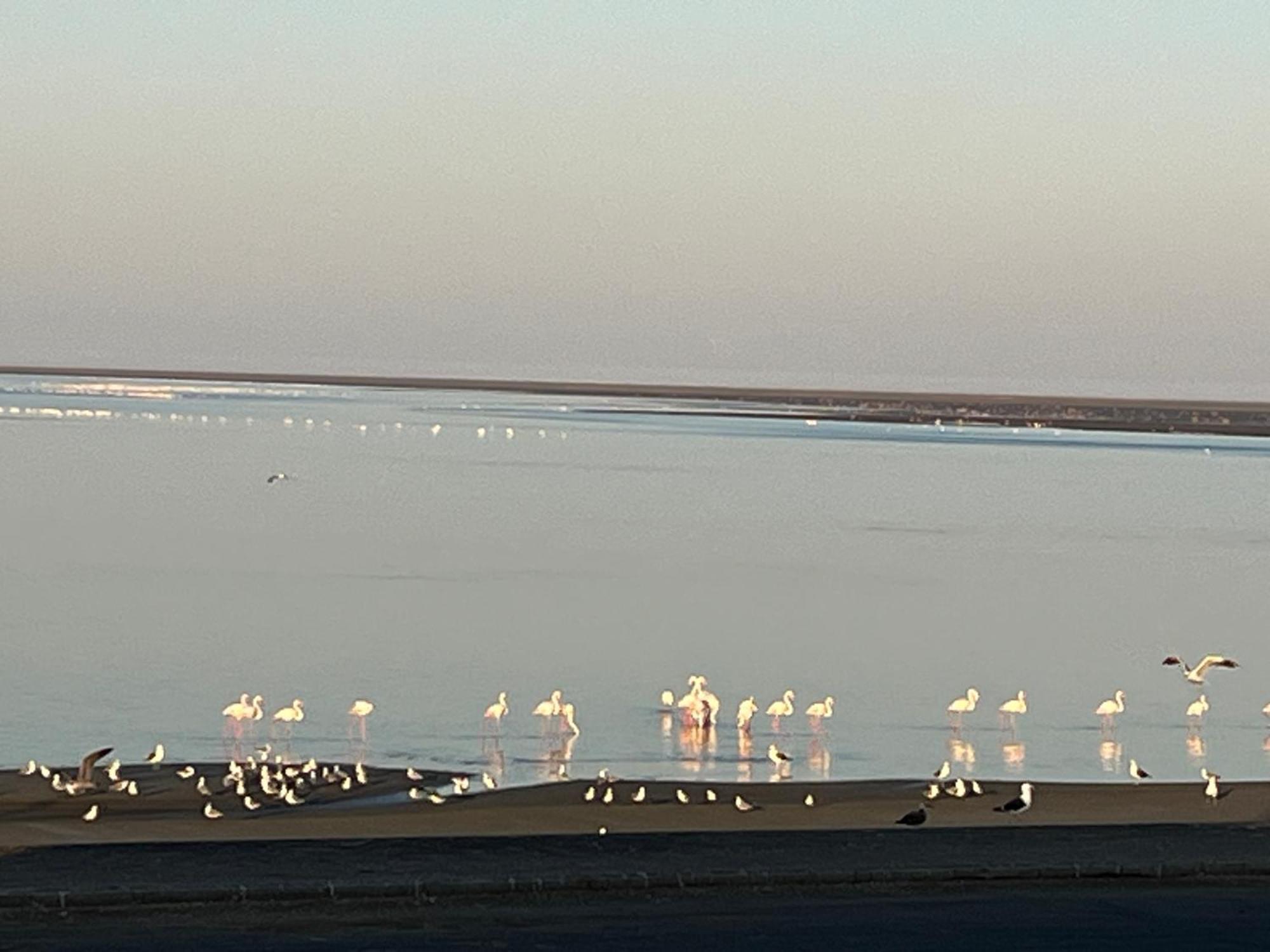Lagoon View Self Catering Уолфиш-Бей Экстерьер фото